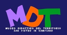 Osservazione al museo di san piero in campiano